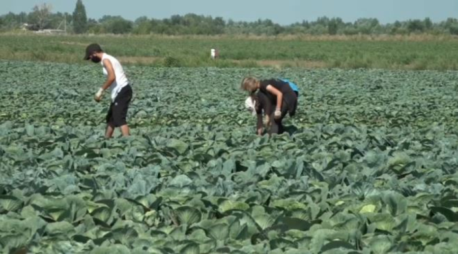 Вопросы переработки сенаторы обсудили с аграриями