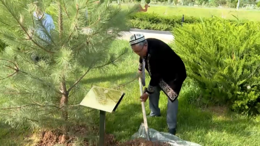 «Таза Қазақстан» аллеясының іргетасы қаланды