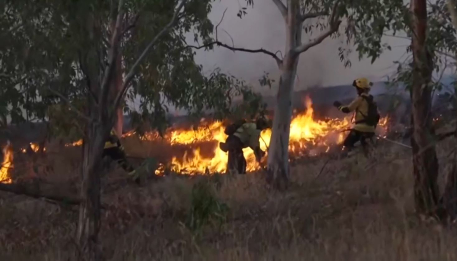 В центре Испании горят леса и пастбища