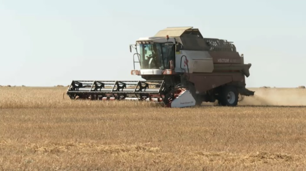 Объем валовой сельхозпродукции превысил 9 трлн тенге