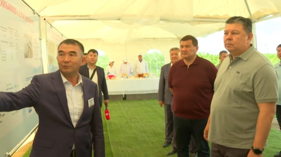 Бозумбаев оценил состояние посевов в Кызылординской области