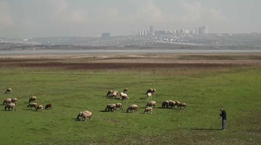Жер бетінде топырақ тозып барады