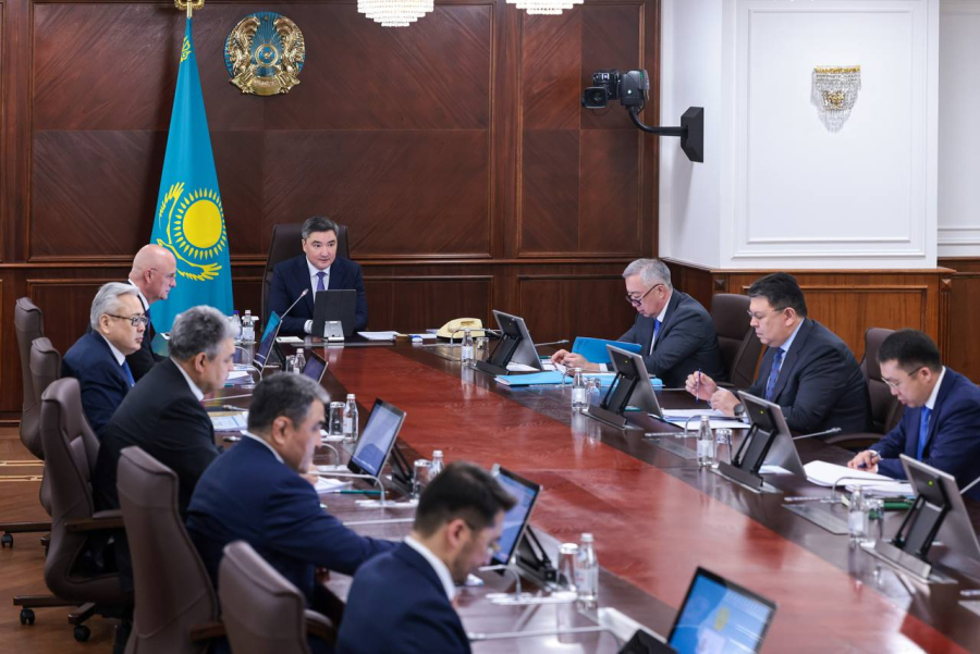 Бектенов поручил наказать виновных в лесных пожарах