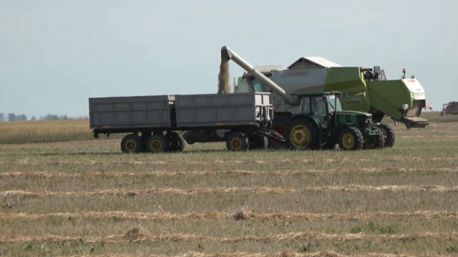 3 млн тонн зерна намолотили североказахстанские аграрии