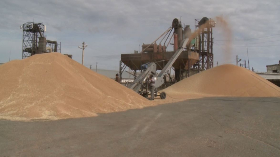 Диқандардың табысы артты