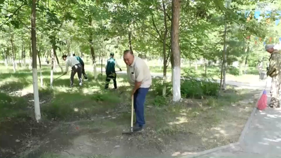 Жетісу облысында 20 тонна тұрмыстық қалдық шығарылды