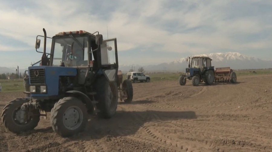 Алматы облысында диқандарға 3,5 млрд теңге қаржы бөлінді