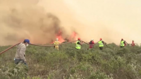 Перуде орман өрті өршіп тұр