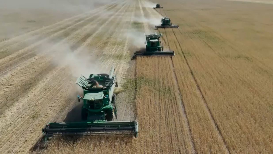 Ақмола облысында 2,5 млн тонна астық жиналды