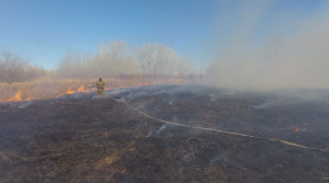 90 га сухой травы загорелось в Павлодарской области