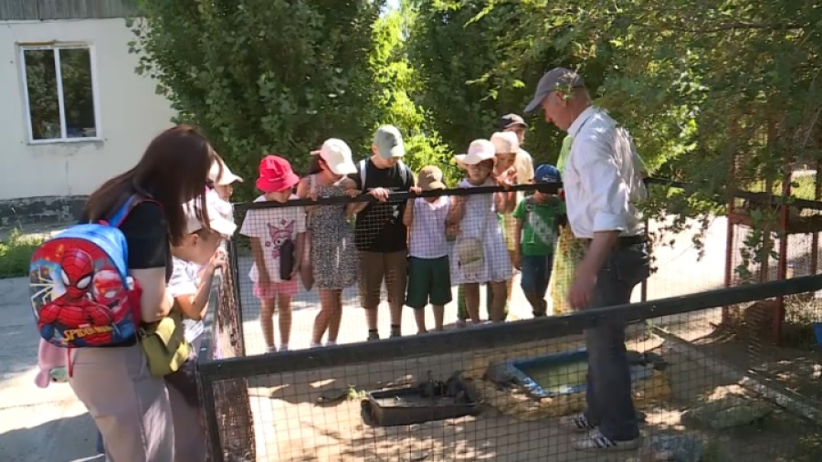 10 тысяч детей из Актюбинской области бесплатно отдохнут в летних лагерях