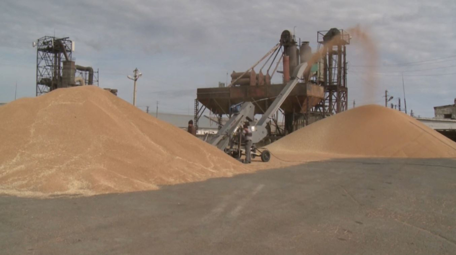 Биыл елімізде мол астық жиналды