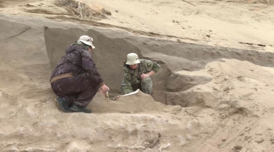 Павлодар облысында қола дәуірінің құнды жәдігерлері табылды