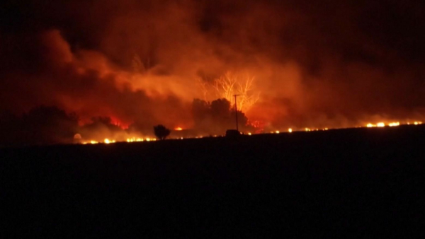 Калифорния штатында орман өртеніп жатыр