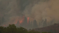 В Канаде вышли из-под контроля 650 лесных пожаров