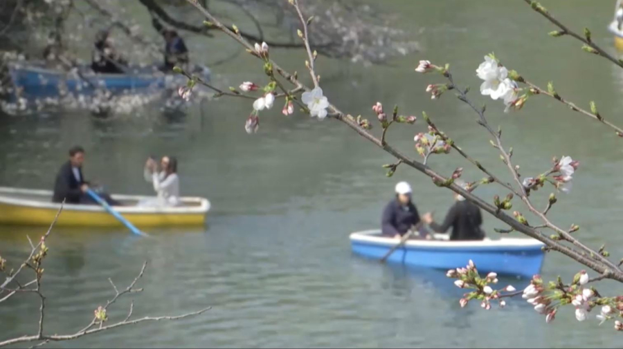 Жапонияда халық саны азайып барады