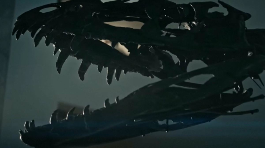 Скелет цератозавра продан за $30,5 млн в Нью-Йорке