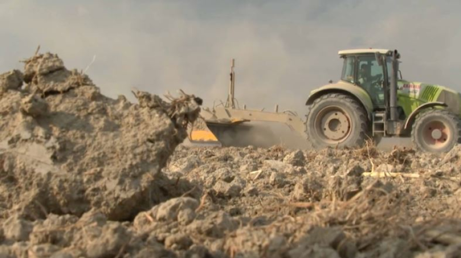 Посевы кукурузы увеличили в семь раз