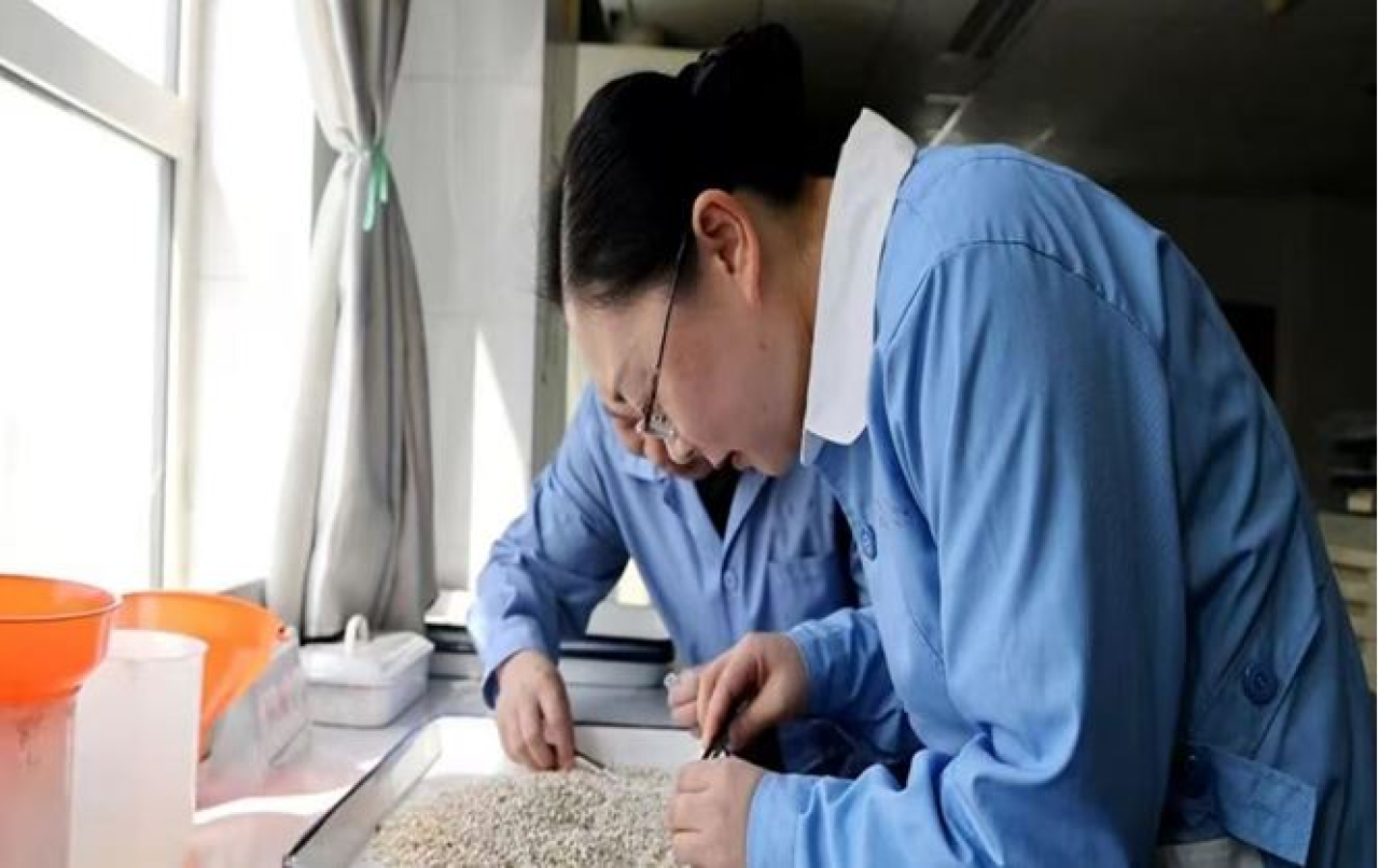 Инфраструктурное обеспечение укрепляет пограничные пункты, создавая новую основу для открытости