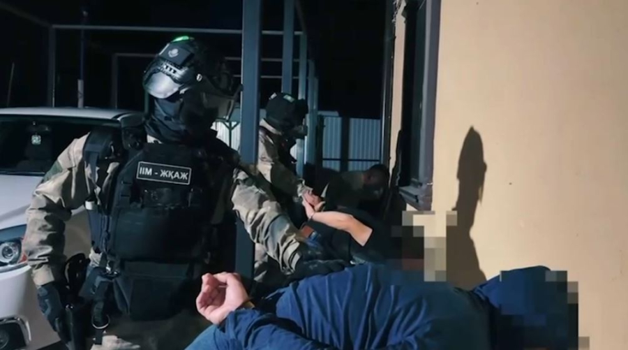 Ветеринарные врачи помогали легализовывать краденый скот