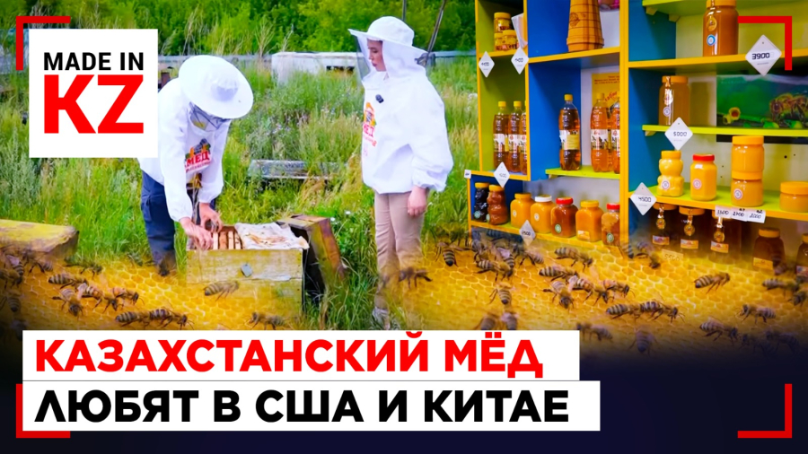 От хобби до экспорта в США: как пасека из ВКО производит сотни тонн мёда