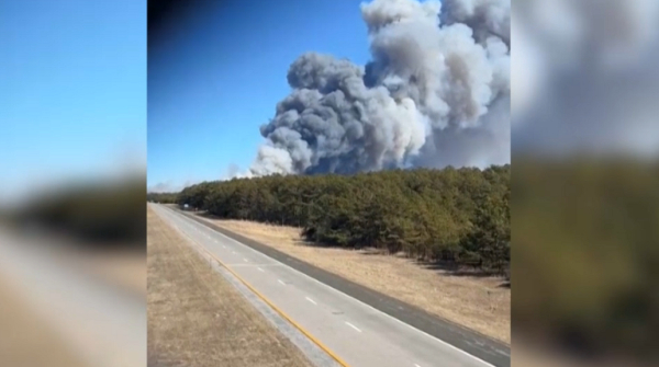 Нью-Йорк штатында орман өртіне байланысты төтенше жағдай жарияланды