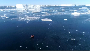 Антарктидада мұздың 40%-тен астамы еріп кетті