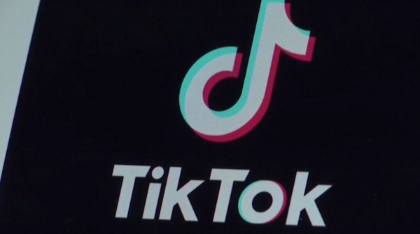 Годовой запрет на TikTok вводят в Албании