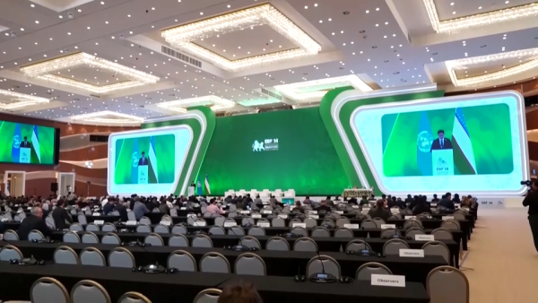 Казахстан и Узбекистан возьмут под защиту мигрирующих животных