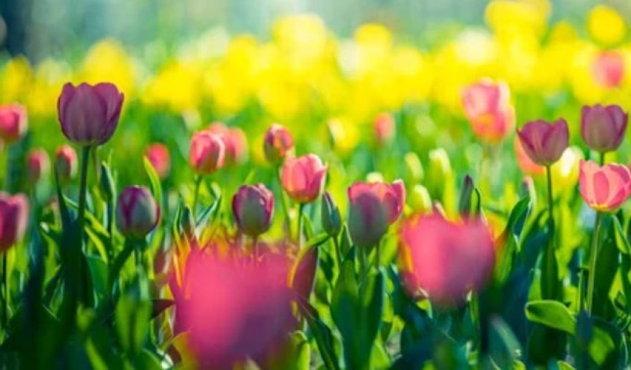 Синоптики рассказали о погоде в Казахстане