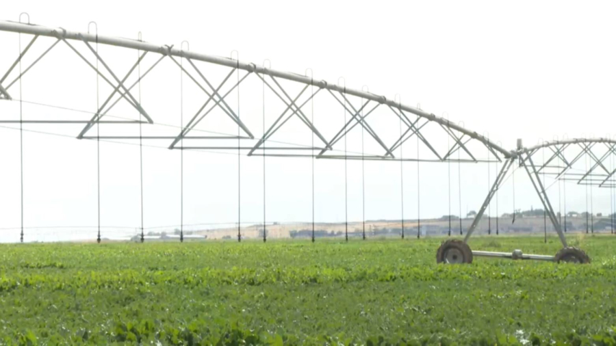 Жамбыл диқандары 66 500 га жерге су үнемдеу технологиясын енгізді