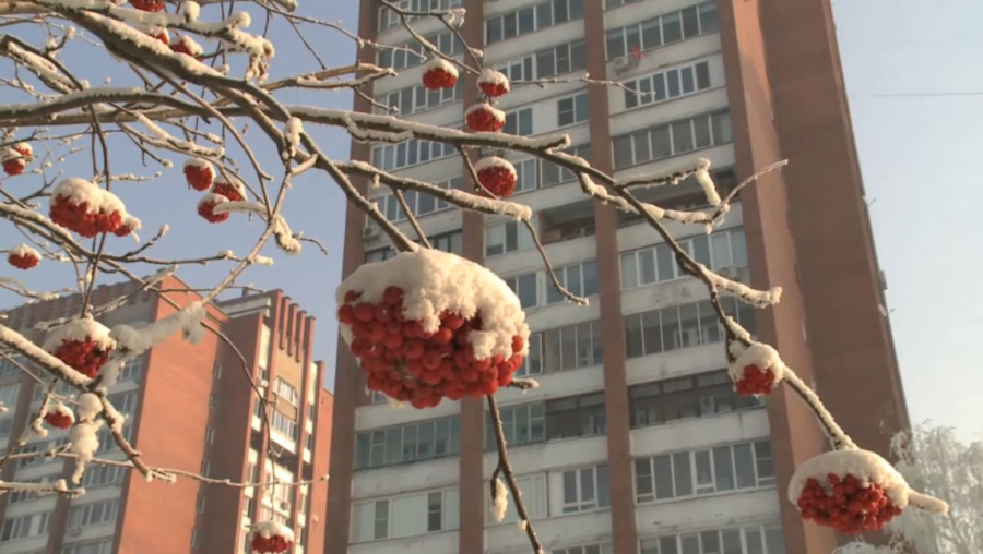 16 наурызға арналған ауа райы болжамы