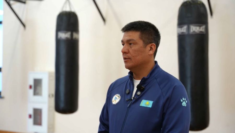 Бокстан Азия чемпионаты басталады