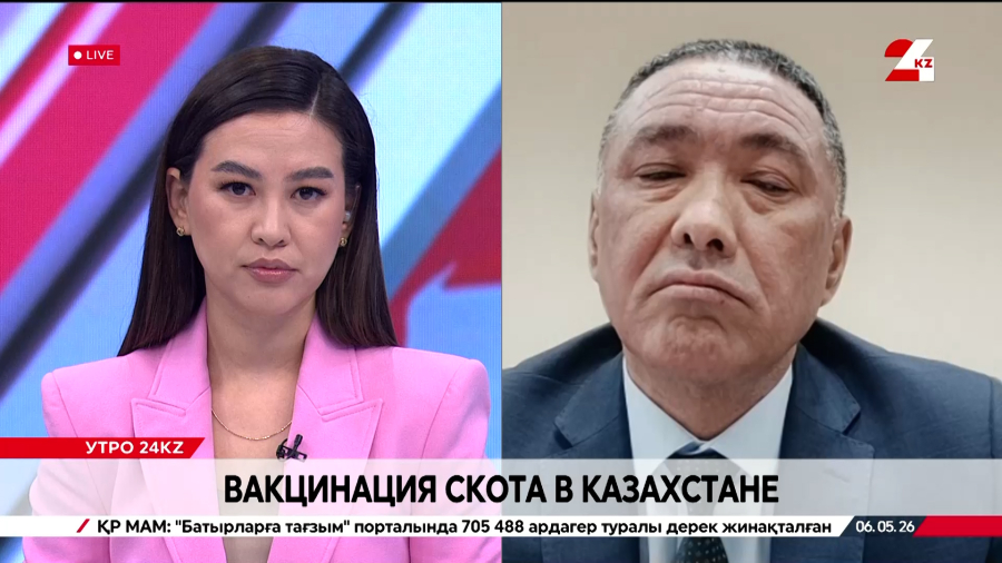 Вакцинация скота в Казахстане. Марат Ибраев