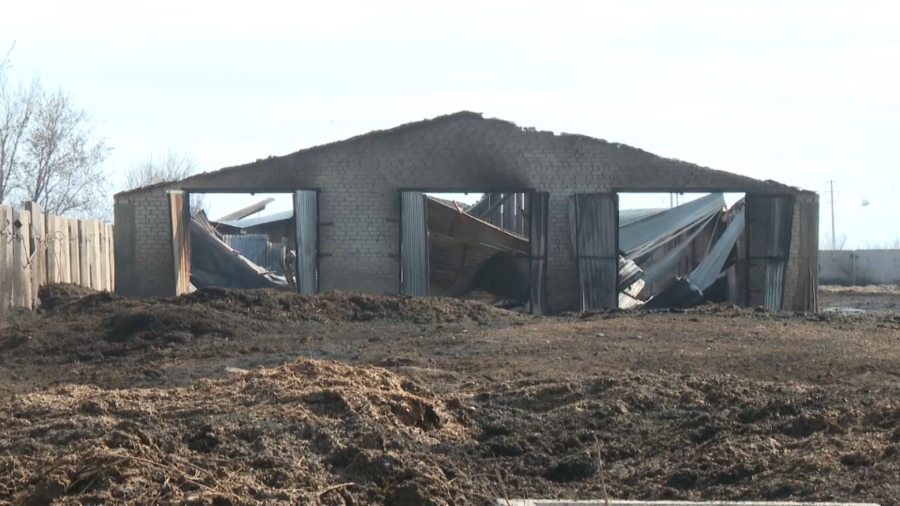 Абай облысындағы дала өрті толық сөндірілді