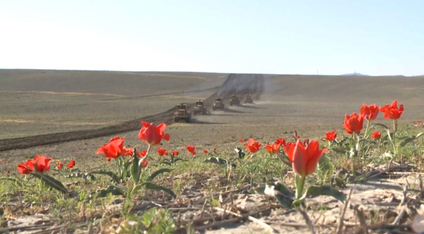 За шесть лет валовая продукция сельского хозяйства выросла в 1,8 раза