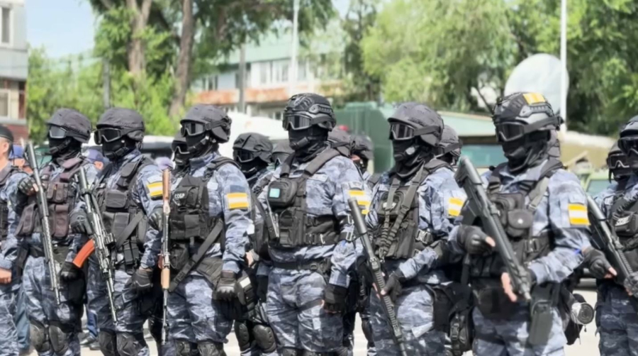 Беспилотники помогают выявлять незаконные плантации в Жетісу