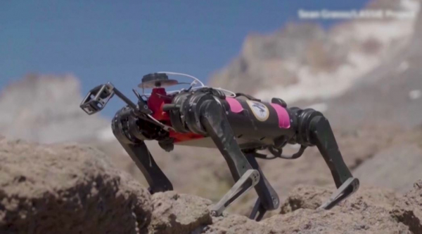 Робопса тренируют для спасательных миссий на Луне