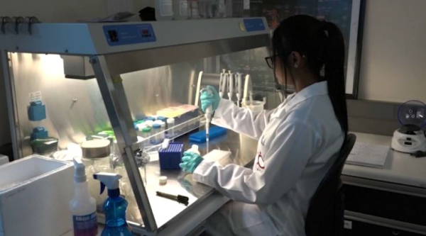 Суд в США оштрафовал Китай за сокрытие данных о коронавирусе