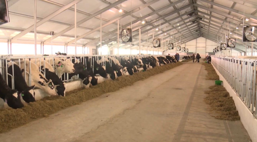 Елде прогрессивті агроэкономикаға көшу басталды