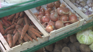 Овощи из стабилизационного фонда появились в Жезказгане