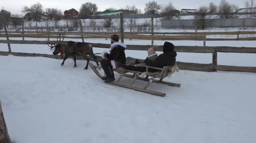 Новая зимняя забава появилась в Уральске