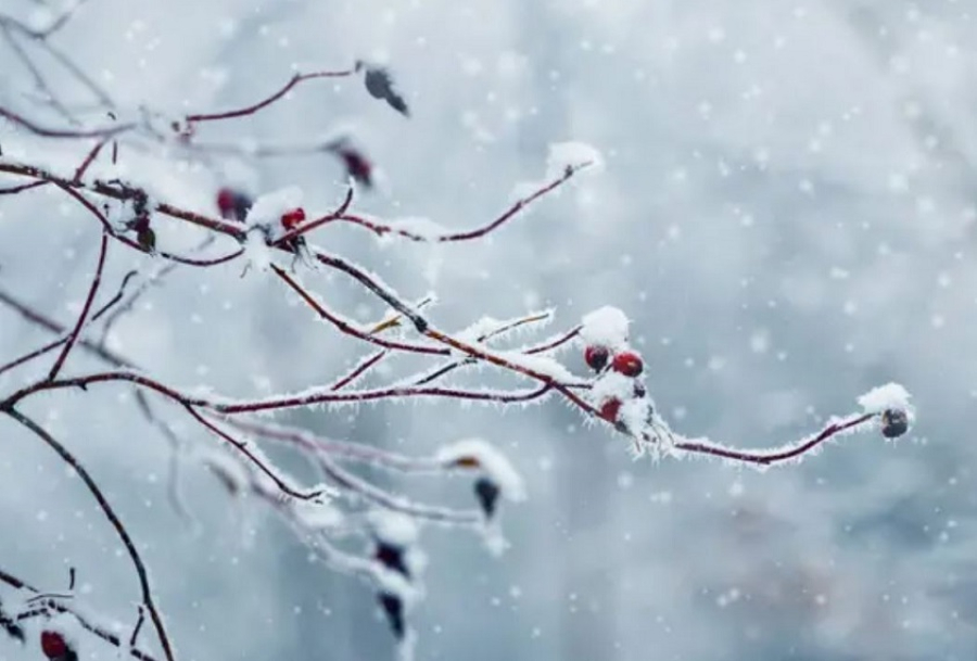 Какую погоду прогнозируют синоптики в Казахстане