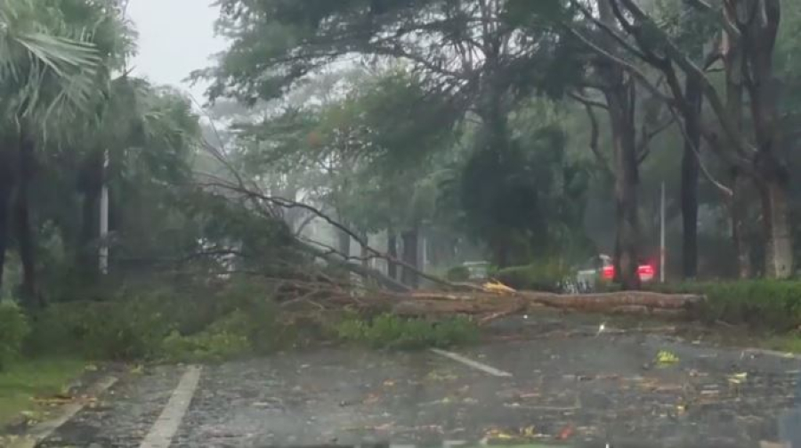 Тайфун на юге Китая: эвакуированы 20 тысяч человек