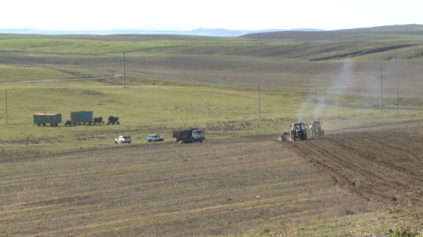 Шымкентте көктемгі егіс науқаны қарқын алды