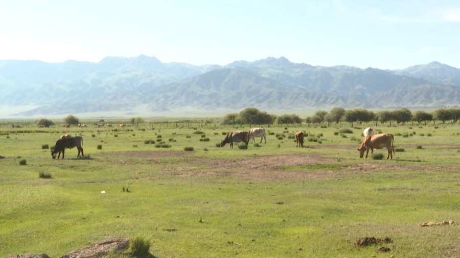 367 мың гектар жер мемлекетке қайтарылды