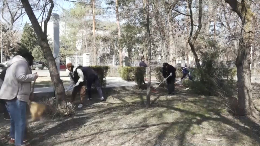 15 тысяч жителей области Жетысу вышли на субботник