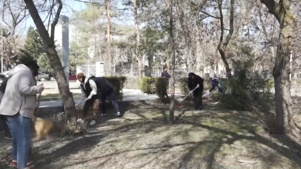 15 тысяч жителей области Жетысу вышли на субботник