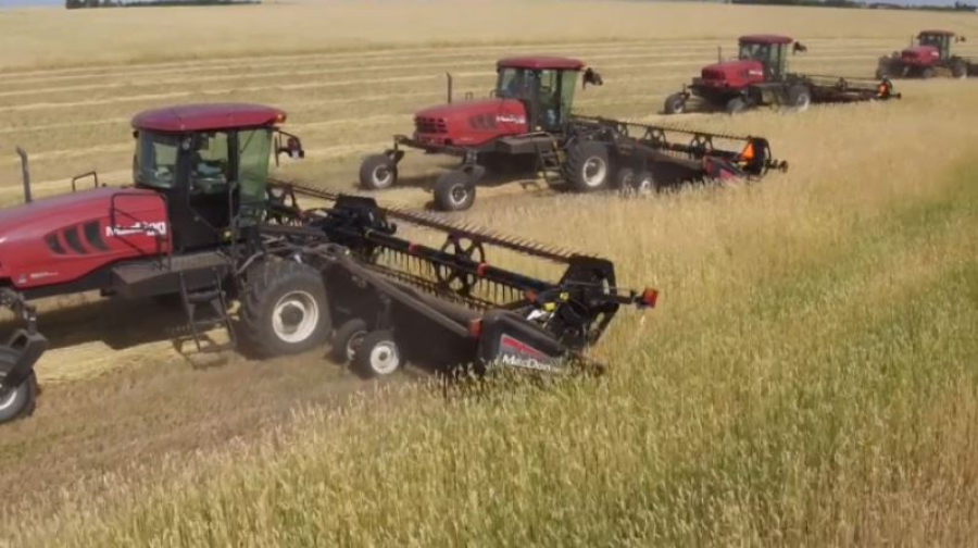 Казахстан и Узбекистан снизили стоимость перевозки зерна