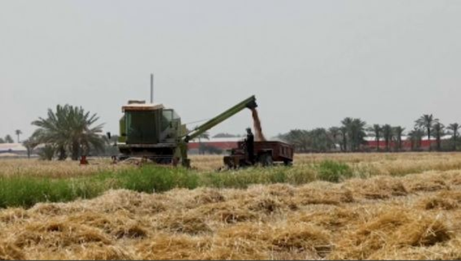 Әлемдік нарықта бидай қоры сарқылуы мүмкін